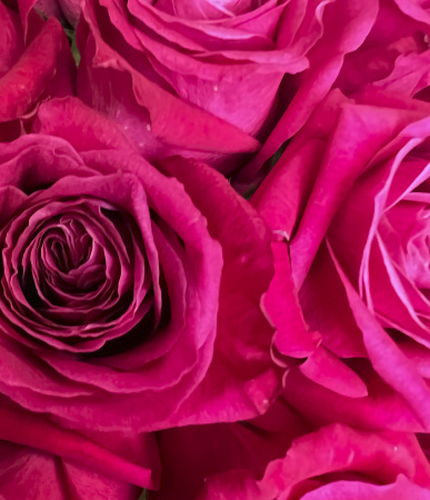 Букет_Малиновые розы в шляпной коробке