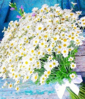 Русское поле Русское поле