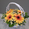 Корзина с яркими герберами