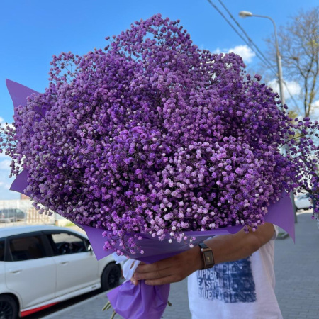 Букет_15 фиолетовых гипсофил