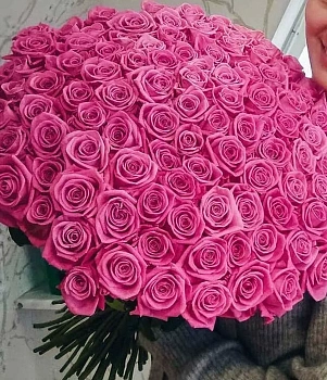 101 розовых роз 101 розовых роз