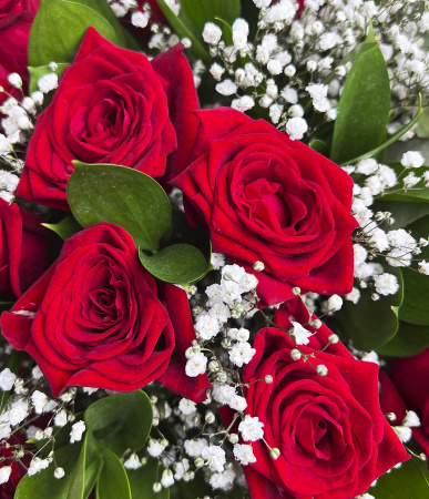 Новогодний сюрприз