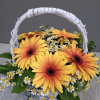Букет_Корзина с яркими герберами