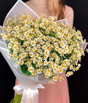 15 ромашек 15 ромашек