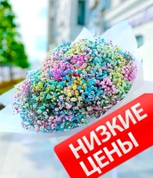 9 гипсофил 9 гипсофил