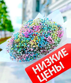 9 гипсофил 9 гипсофил