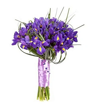 Дамский каприз (свадебный) Дамский каприз (свадебный)